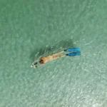 Motore per SUP/kayak Aqua Marina BlueDrive X